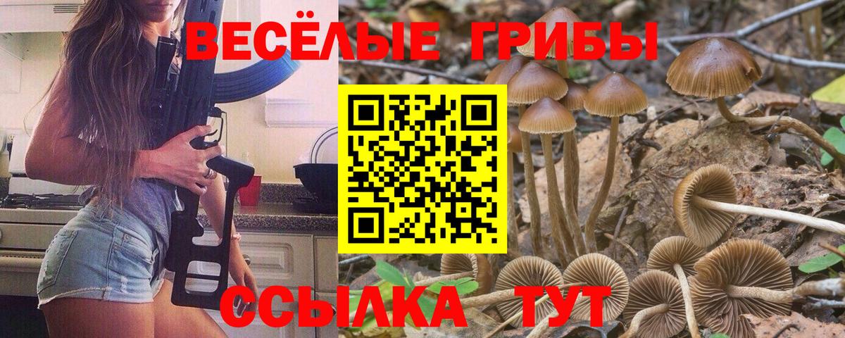 Галлюциногенные грибы MAGIC MUSHROOMS Обнинск