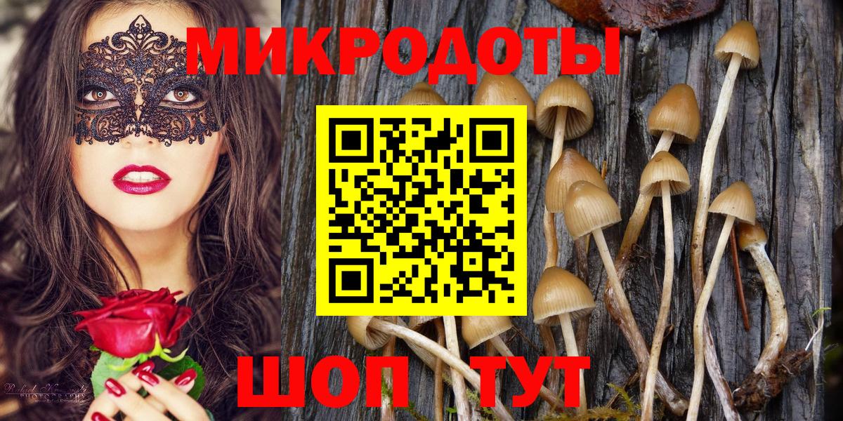 Обнинск  Галлюциногенные грибы MAGIC MUSHROOMS  купить наркоту  Вход с VPN 